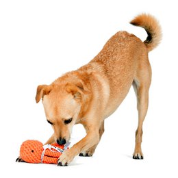 Octo Inktvis - cultspeelgoed voor honden
