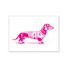 Postcard - Pinker teckel met kersttrui