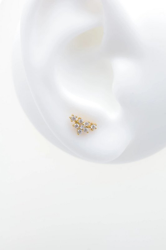 Roestvrijstalen piercings