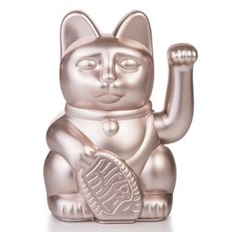 Gatto fortunato | chiaro di luna