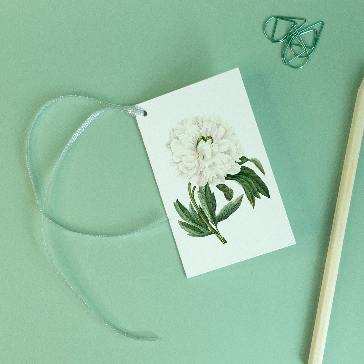 Geschenkanhänger Mix x8 Pack - Botanical Vintage
