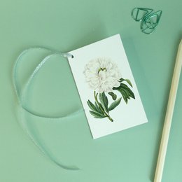 Gift Tag Mix x8 Pack - Botanical Vintage