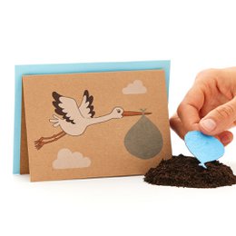 Grußkarte - Storch, Geburt Junge