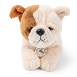 BTC - Bertha la Bulldog Americana en caja de regalo - 20 cm -