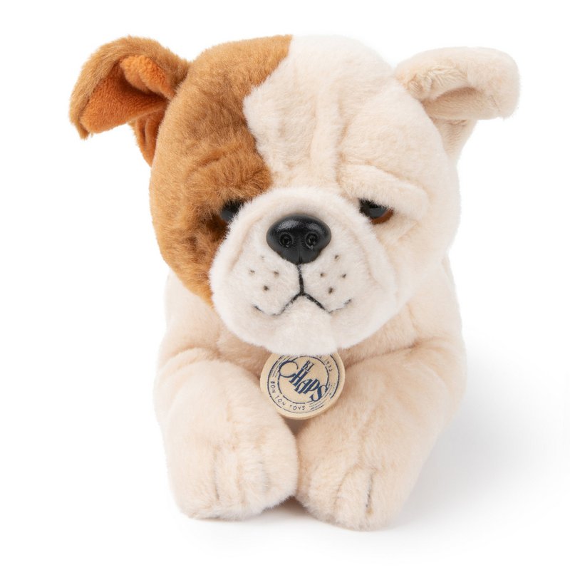 BTC - Bertha la Bulldog Americana en caja de regalo - 20 cm -
