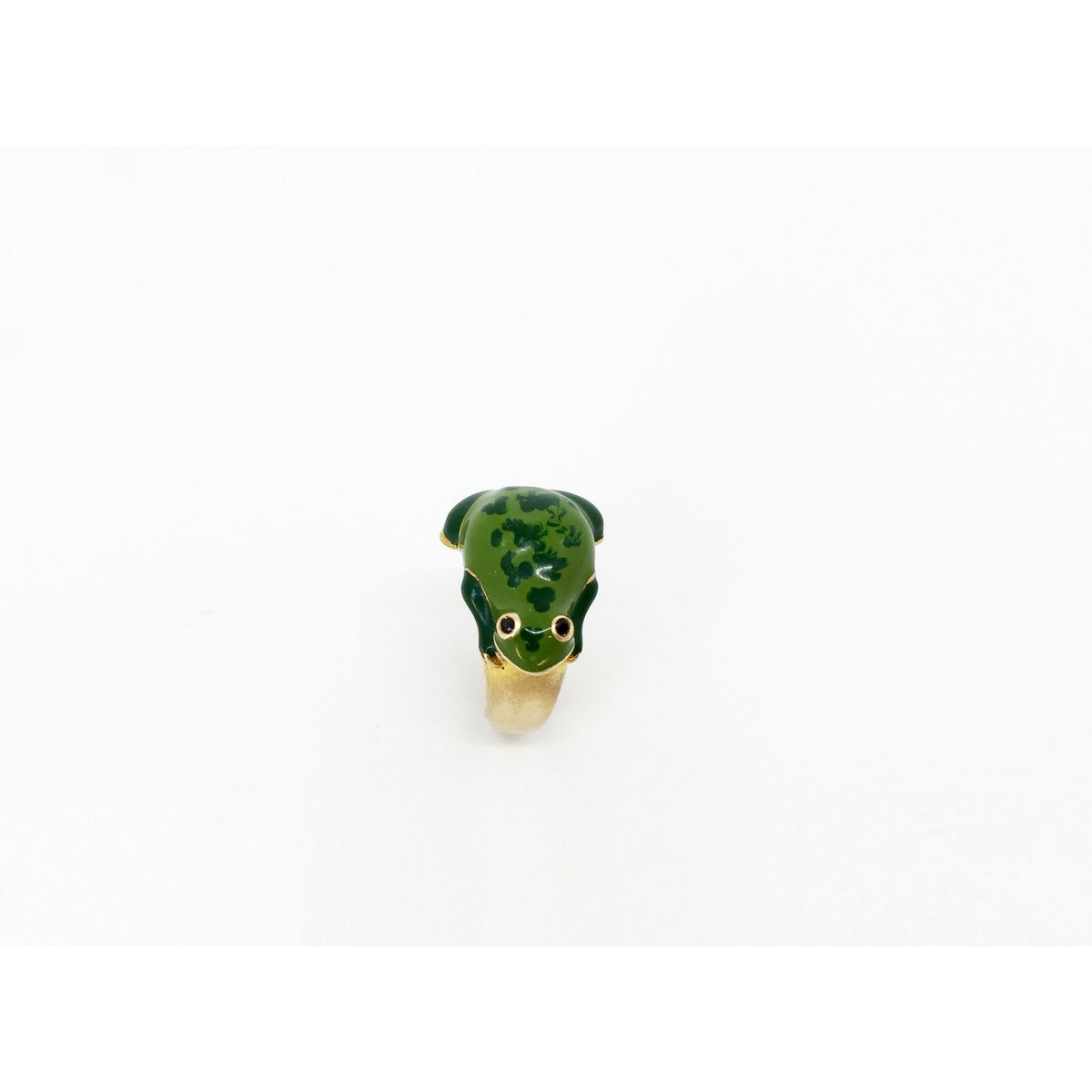 Grenouille Betta