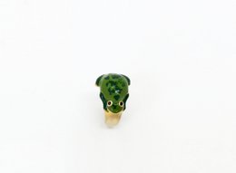 Betta Frog