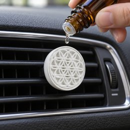Clip'Arôme Graine de vie – Plaster Car Fragrance Diffuser 