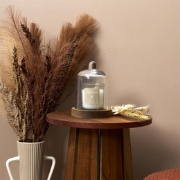 Luxe Geurkaars met Stolp – Witte Geurkaars in Glazen Houder met Houten Onderzetter – Sfeervolle Interieurdecoratie & Cadeau – Natuurlijke Hout- en Bosgeur – Kaars – Wit