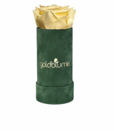 Velvet Green Collection