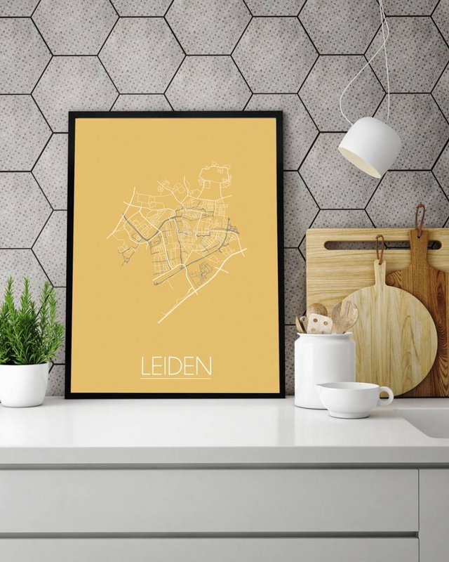 Leiden Floor plan poster Geel