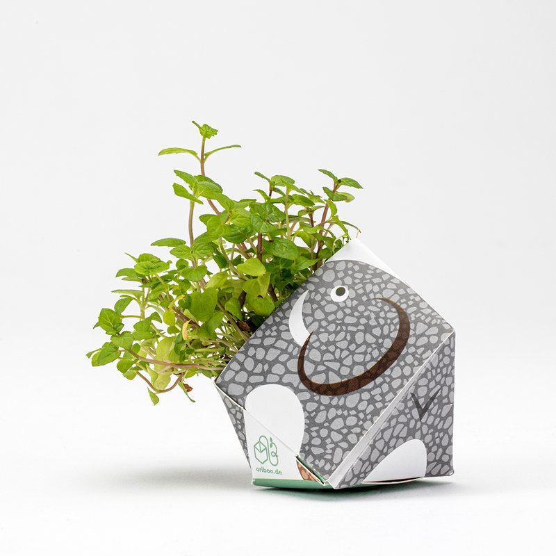 1 OriBon+ - Collezione di animali della foresta pluviale