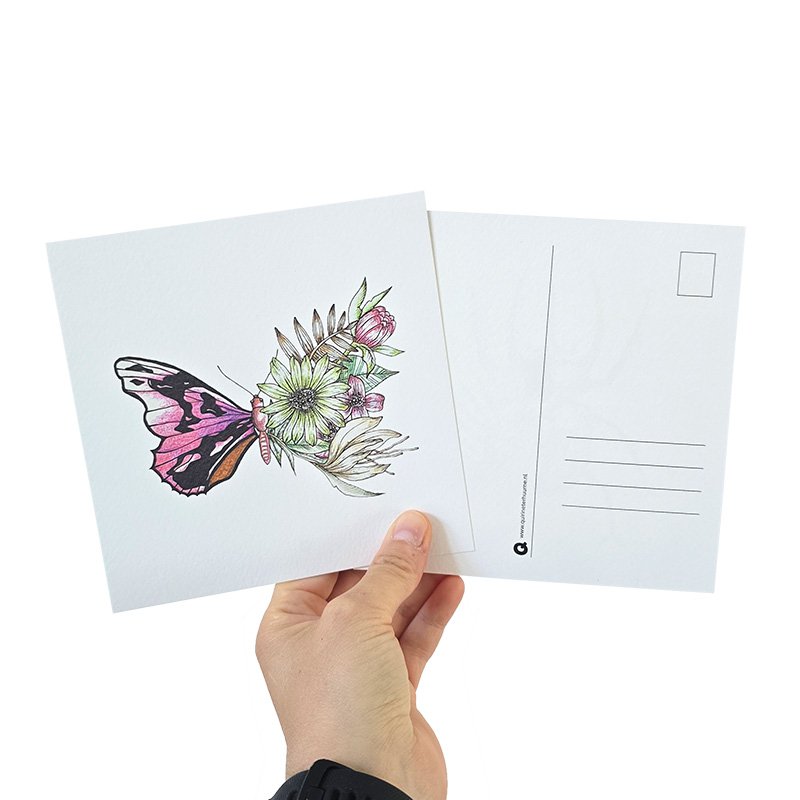 Kaart vlinder kleur zonder envelop