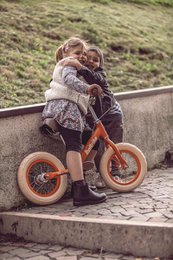 Fruit collection - Alu balance bike - Tire wheels - Rear brake - Orange