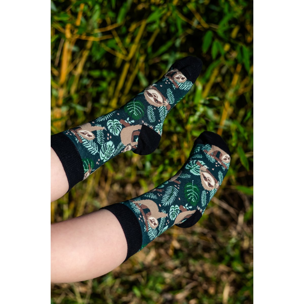 Animal - Sloth