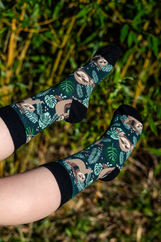 Animal - Sloth