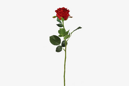 Kunstbloem Rosa rood- L8B8H70CM