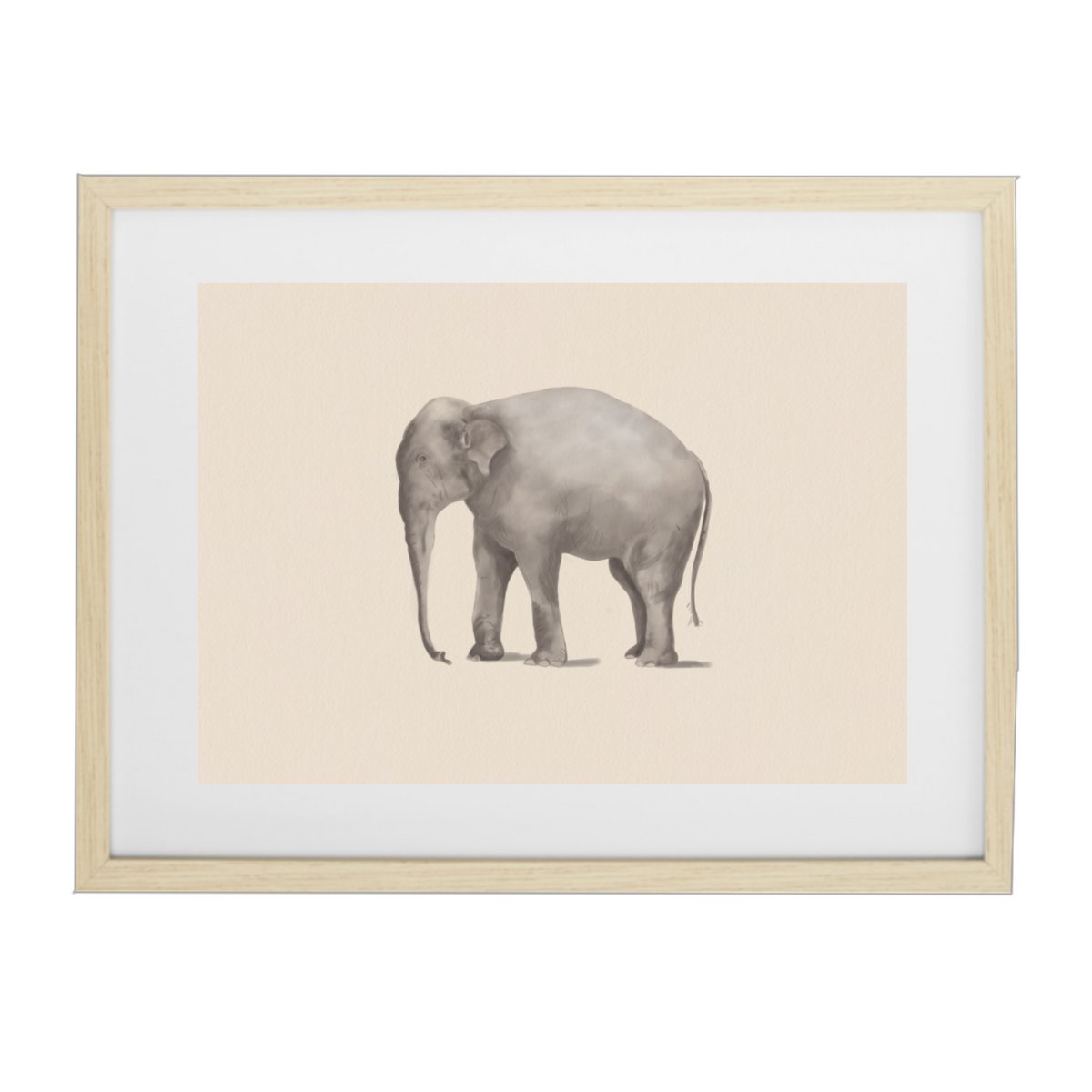 Manifesto dell'elefante