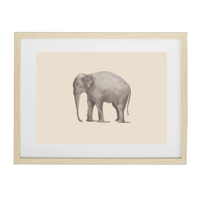 Elefante Póster