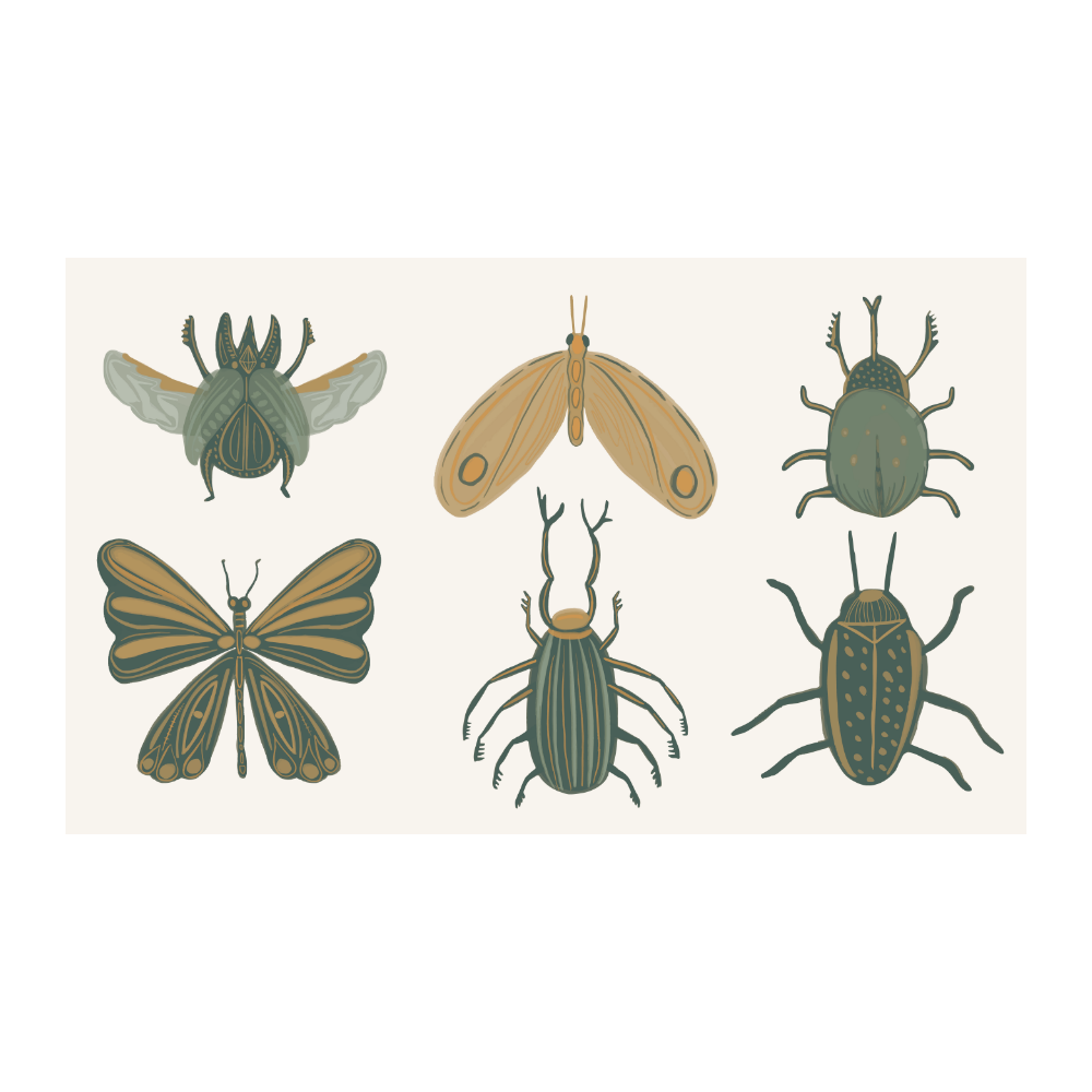 Insectes de la forêt - Stickers muraux pour chambre d'enfant