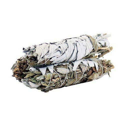 Salvia Bianca e Nera per Protezione 10 cm
