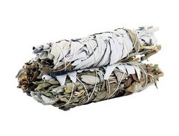 Salvia Bianca e Nera per Protezione 10 cm