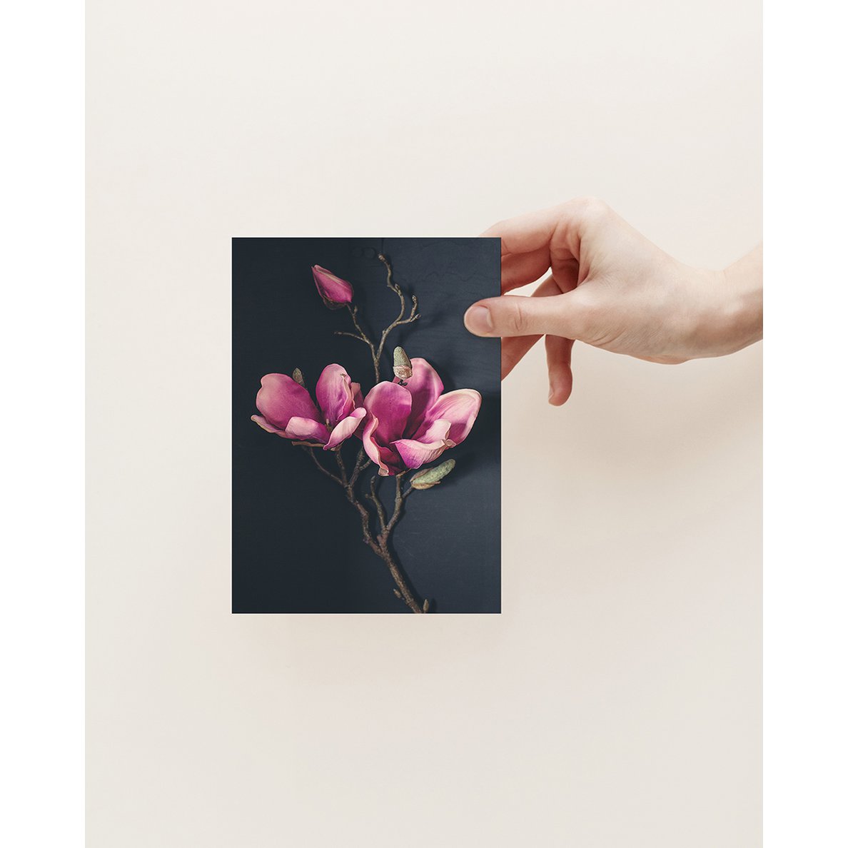 Ansichtkaart Wenskaart Donker Magnolia (PK_062)