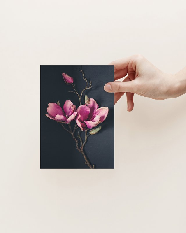 Cartolina d'auguri Magnolia scura (PK_062)