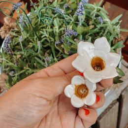 Campanula + bastone