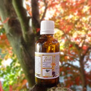 Wipe Wellness – Changing Oil (refill Bliss) 55ml