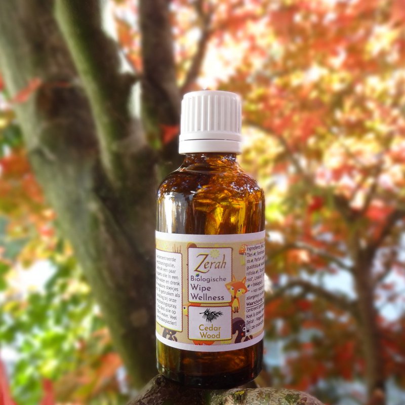 Wipe Wellness – Changing Oil (refill Bliss) 55ml