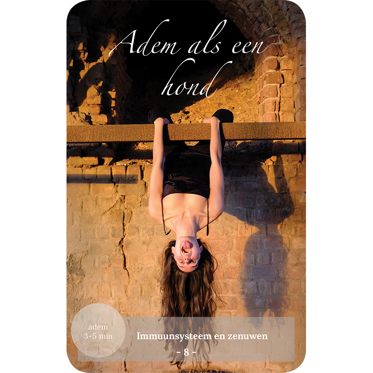 Einzigartiges Weihnachtsgeschenk – Mind-Body-Toolkit, Coach- und Inspirationskarten, Yoga- und Meditationsdeck