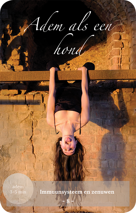 Unik julegave - Mind-Body Toolkit, coach- og inspirationskort, yoga- og meditationsdæk