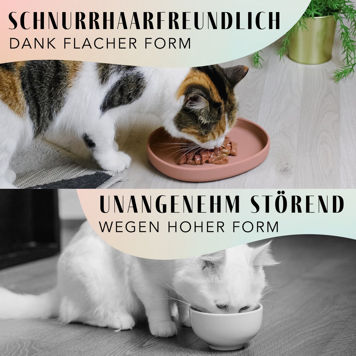 ne&no® Silikon Futterschale - Schnurrhaarfreundlich - extra flach - für Katzen