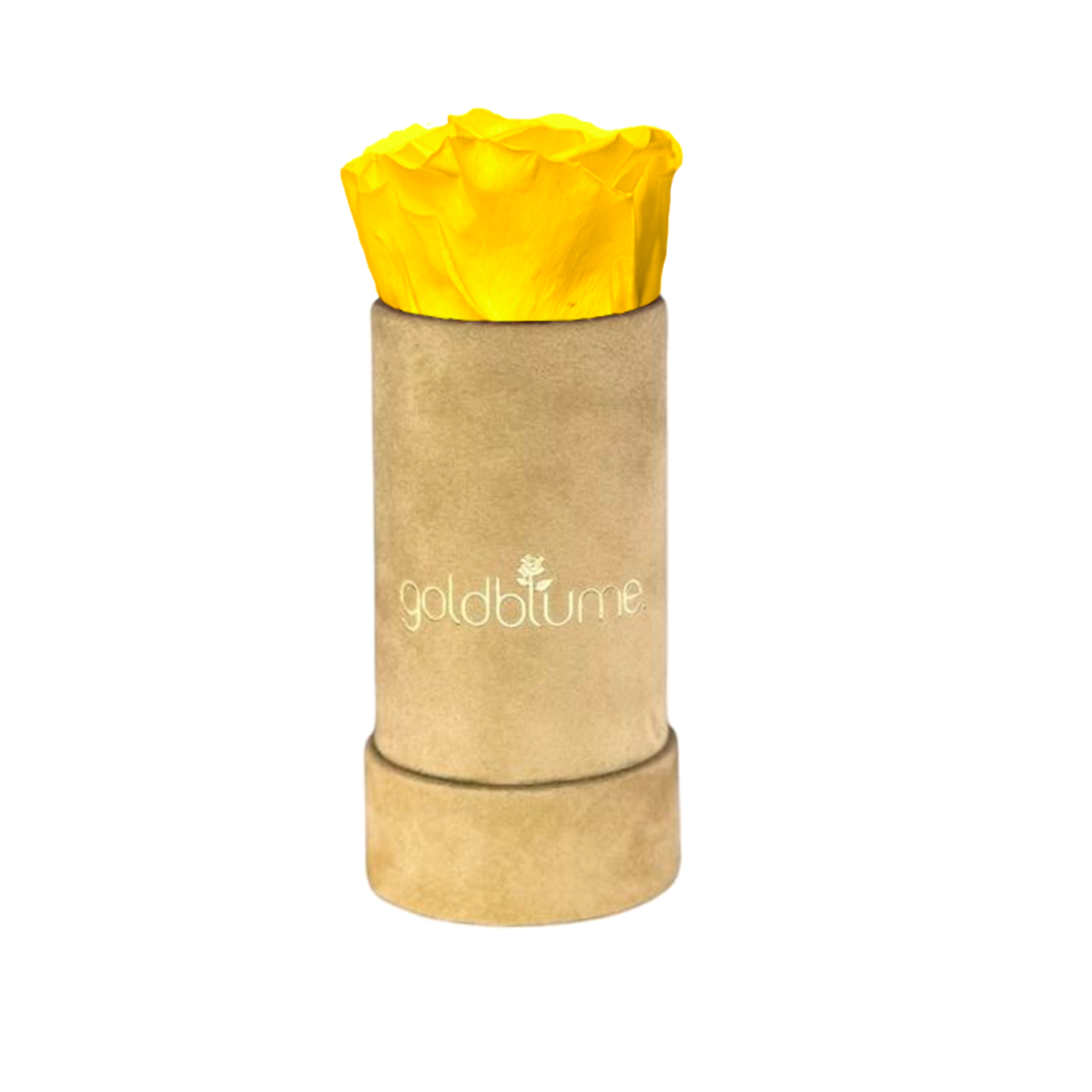 Sunny Yellow XS