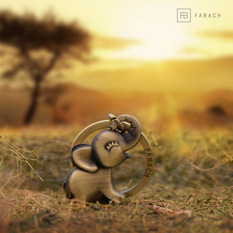 Portachiavi elefante "Jumbo" - simpatico ciondolo elefantino - portafortuna e regalo per gli amanti degli elefanti