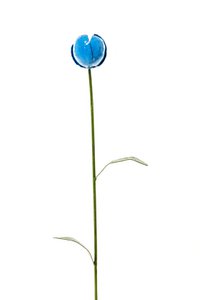 ZIMBA-ARTS METAL BLUE TULIP