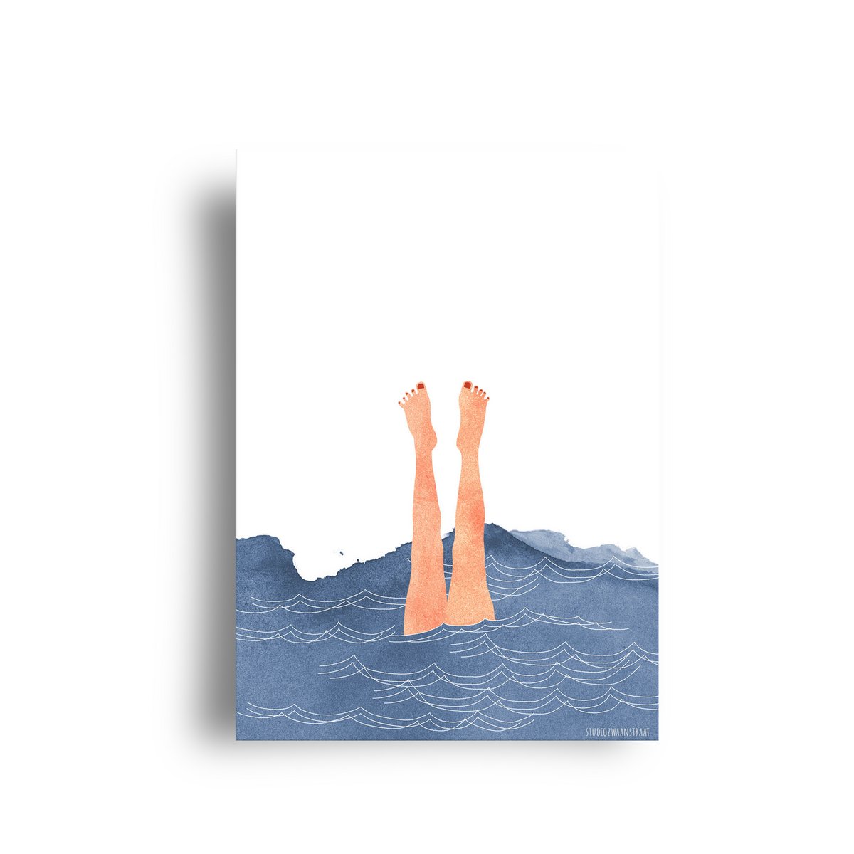 postcard 'sealife'