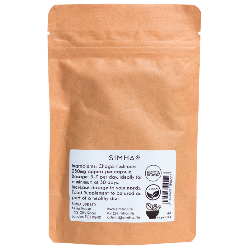 Chaga-Pilz