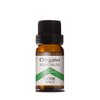 Organic Bio essential oil Oregano