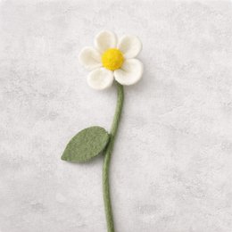 Daisy White