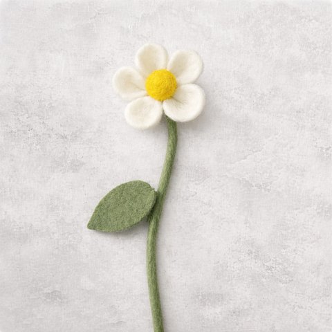 Daisy white