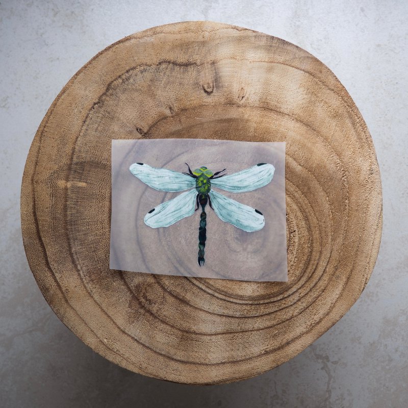 Iron-on billede »Dragonfly«