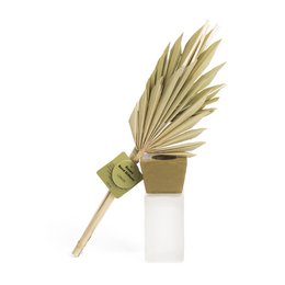 GREEN LEMON SCENT DIFFUSER (100ml) HF