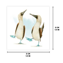 Blue-footed Booby - Lykønskningskort, 13 x 13 cm, Fugle