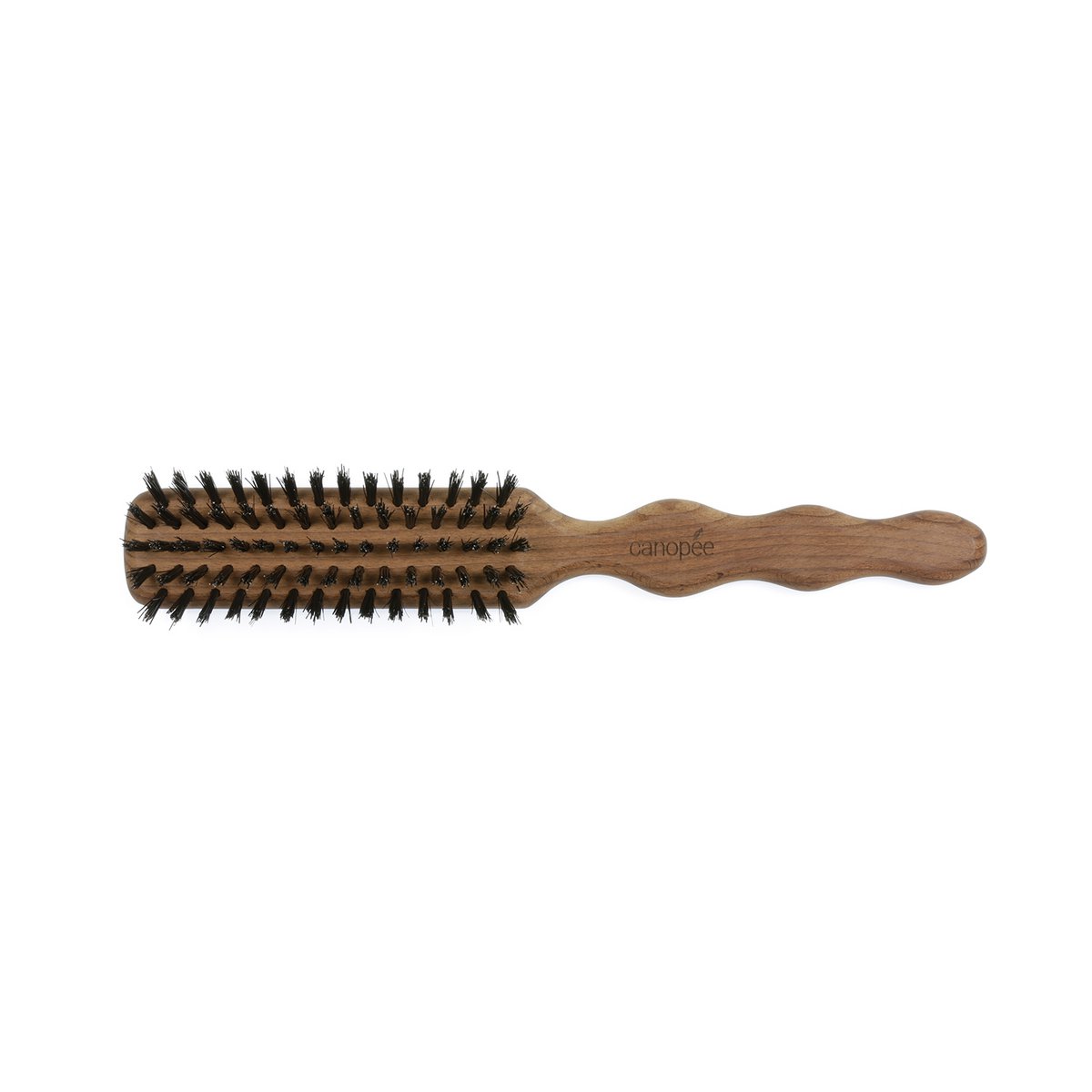 Brosse Lissoir, 61420 Pur Sanglier