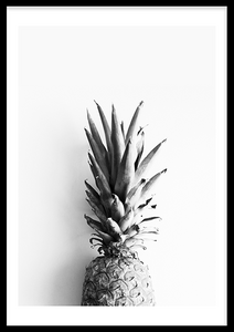 pineapple crown