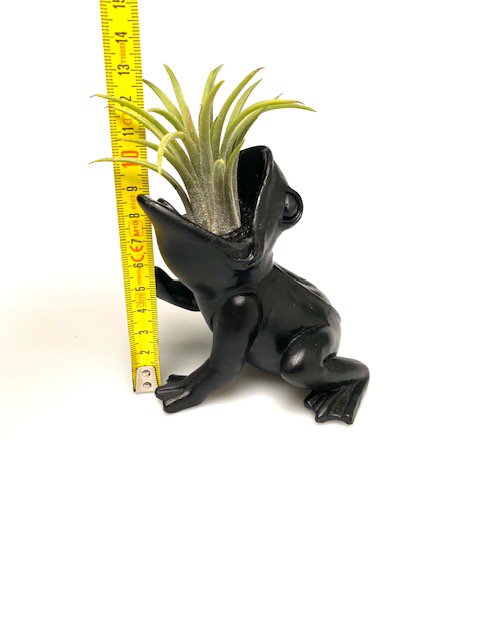 PEEK + AERPLANTE