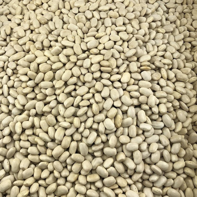 Organic White Bean in Bulk