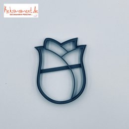 tulipan